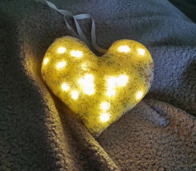 DECORATION LUMINEUSE COEUR EN DOUBLE GAZE